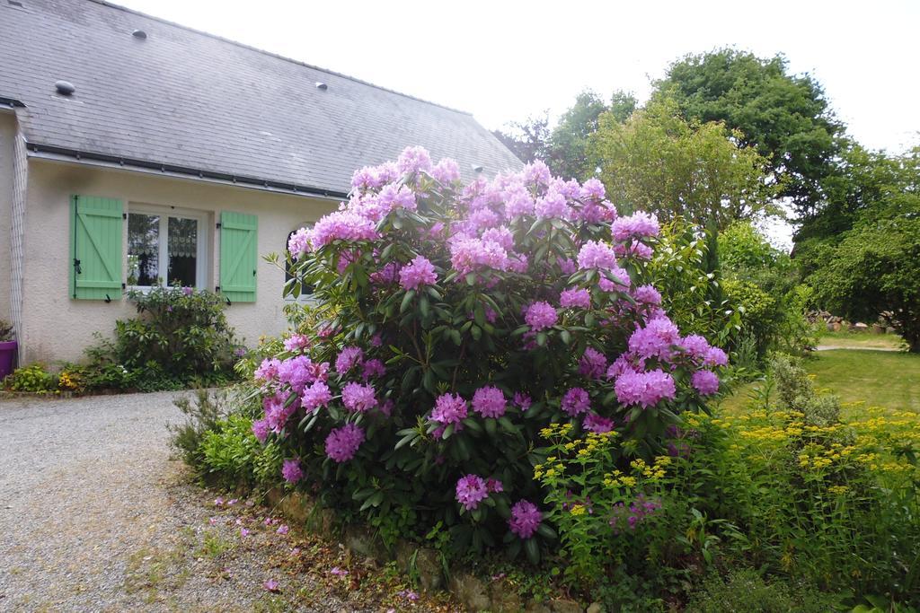 Le Pre De La Lande Bed & Breakfast La Chapelle-Sur-Erdre Luaran gambar